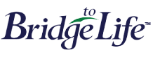 www.bridgetolife.com